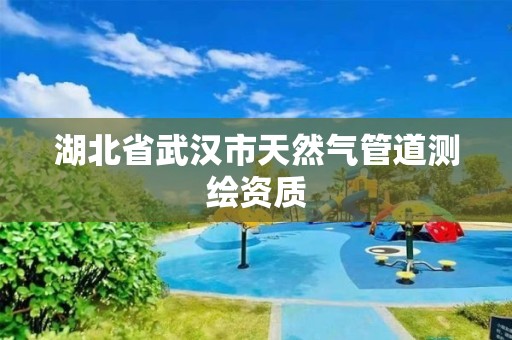 湖北省武漢市天然氣管道測繪資質