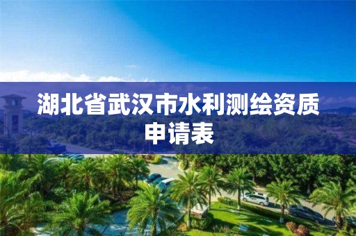 湖北省武漢市水利測繪資質申請表