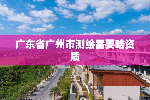 廣東省廣州市測繪需要啥資質