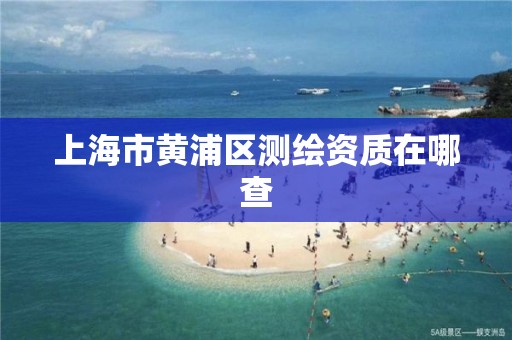 上海市黃浦區測繪資質在哪查