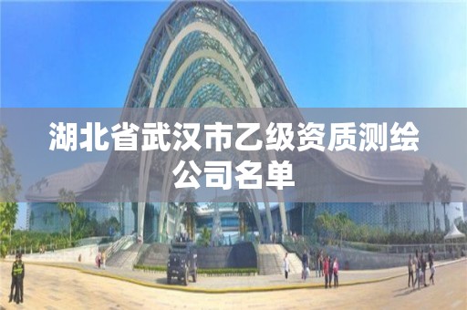 湖北省武漢市乙級資質測繪公司名單