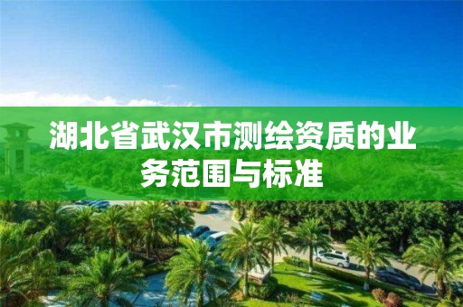 湖北省武漢市測繪資質的業務范圍與標準