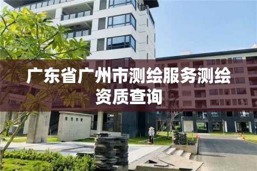 廣東省廣州市測繪服務測繪資質查詢