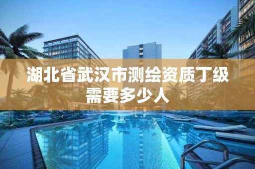 湖北省武漢市測繪資質丁級需要多少人