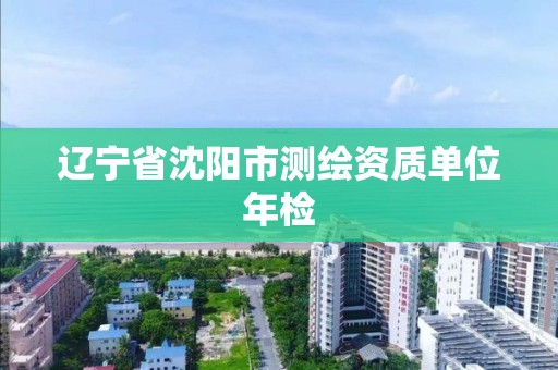 遼寧省沈陽市測繪資質單位年檢