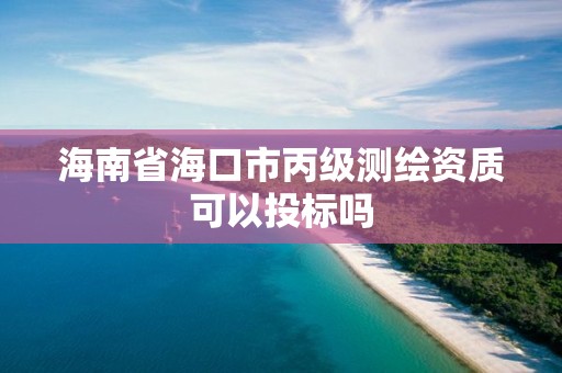 海南省海口市丙級測繪資質可以投標嗎