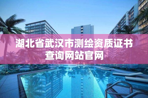 湖北省武漢市測繪資質證書查詢網站官網