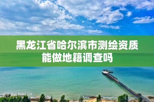 黑龍江省哈爾濱市測繪資質能做地籍調查嗎