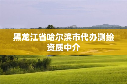 黑龍江省哈爾濱市代辦測繪資質中介