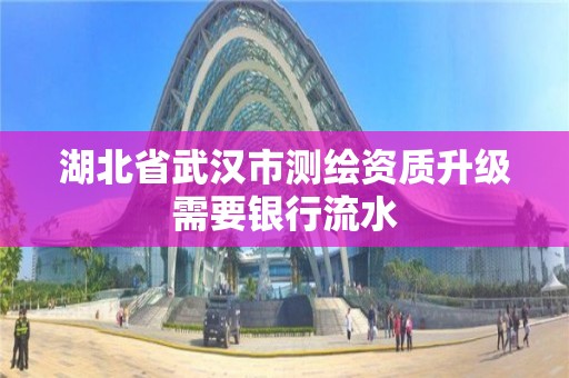 湖北省武漢市測繪資質升級需要銀行流水