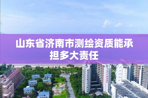 山東省濟南市測繪資質能承擔多大責任