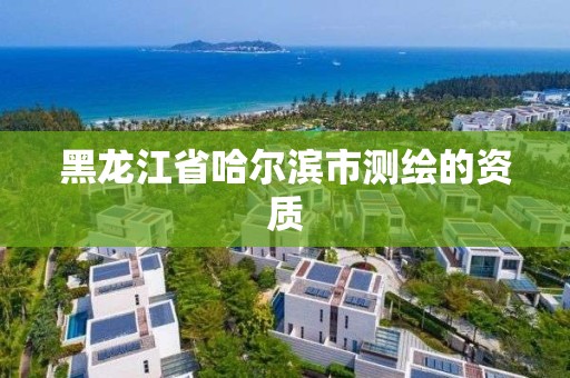 黑龍江省哈爾濱市測繪的資質