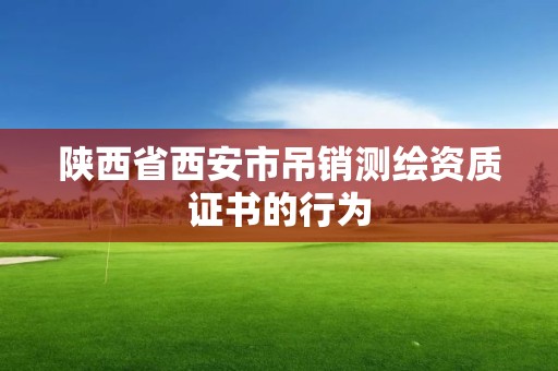 陜西省西安市吊銷測繪資質證書的行為