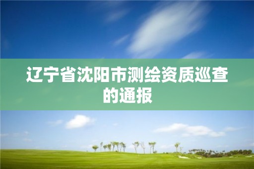 遼寧省沈陽市測繪資質巡查的通報