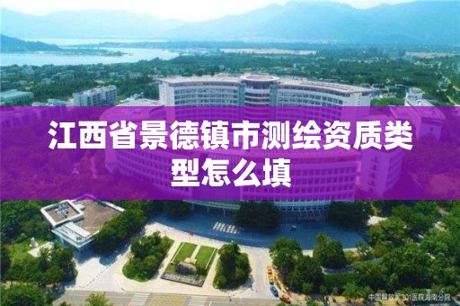 江西省景德鎮市測繪資質類型怎么填