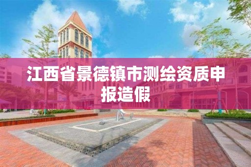 江西省景德鎮市測繪資質申報造假