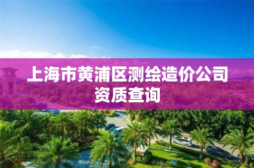 上海市黃浦區測繪造價公司資質查詢