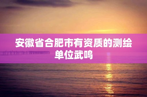 安徽省合肥市有資質的測繪單位武鳴