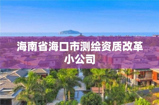 海南省海口市測繪資質(zhì)改革小公司