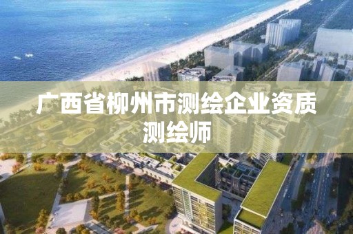 廣西省柳州市測繪企業資質測繪師