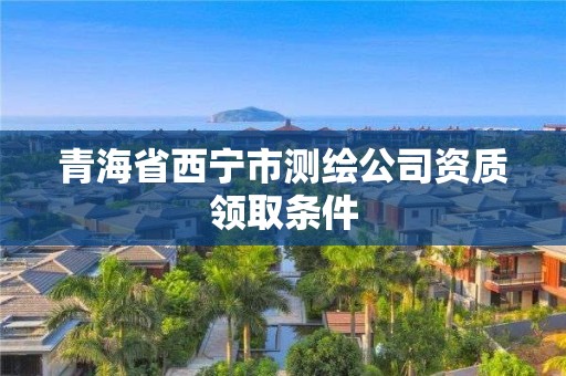 青海省西寧市測繪公司資質(zhì)領(lǐng)取條件