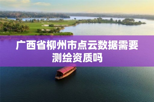 廣西省柳州市點云數(shù)據(jù)需要測繪資質(zhì)嗎