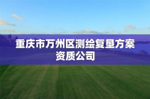 重慶市萬州區測繪復墾方案資質公司