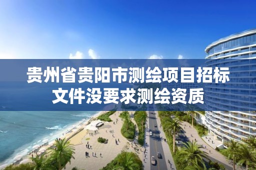 貴州省貴陽市測繪項目招標文件沒要求測繪資質