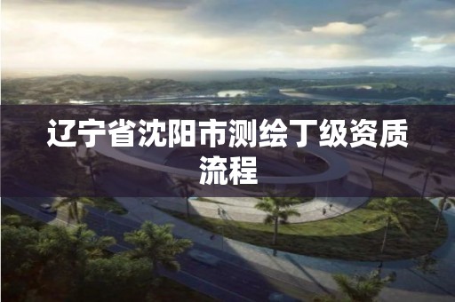 遼寧省沈陽市測繪丁級資質流程