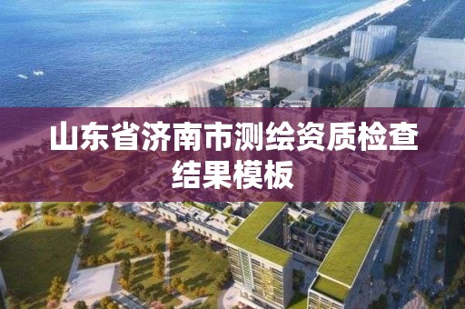 山東省濟南市測繪資質檢查結果模板