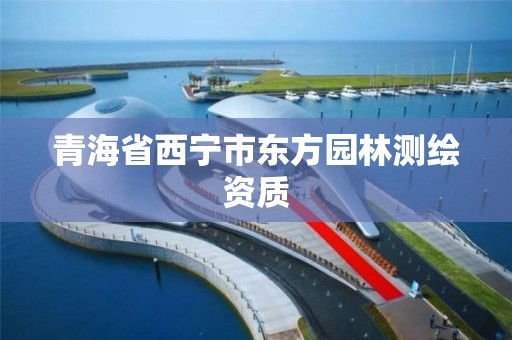 青海省西寧市東方園林測繪資質