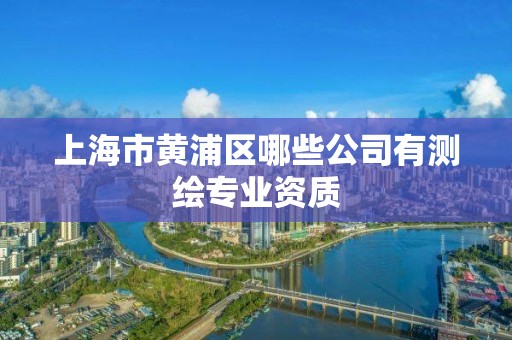 上海市黃浦區哪些公司有測繪專業資質