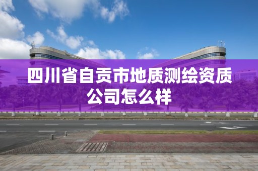 四川省自貢市地質測繪資質公司怎么樣