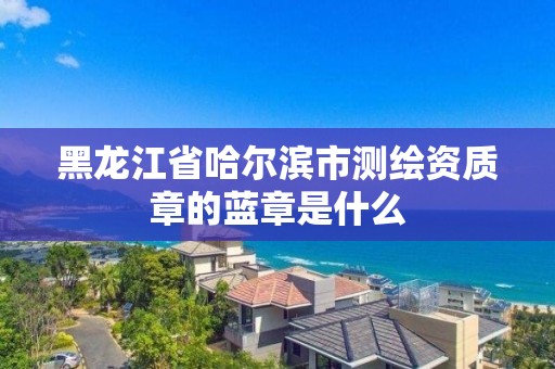 黑龍江省哈爾濱市測繪資質(zhì)章的藍(lán)章是什么