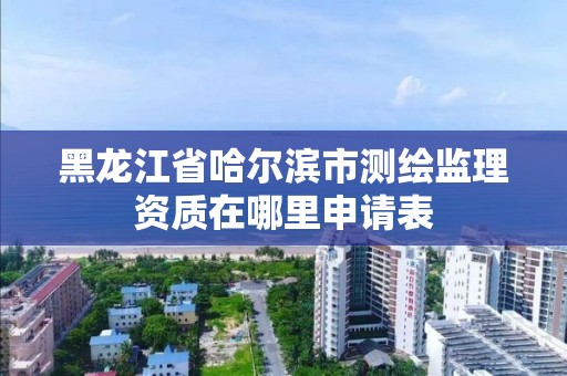 黑龍江省哈爾濱市測繪監理資質在哪里申請表