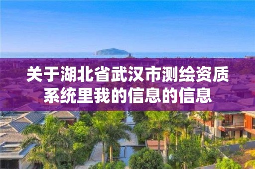 關于湖北省武漢市測繪資質系統里我的信息的信息