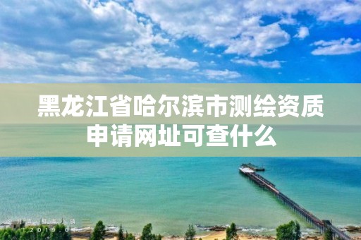 黑龍江省哈爾濱市測繪資質申請網址可查什么