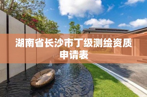 湖南省長沙市丁級測繪資質(zhì)申請表