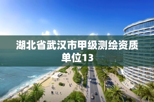 湖北省武漢市甲級測繪資質單位13