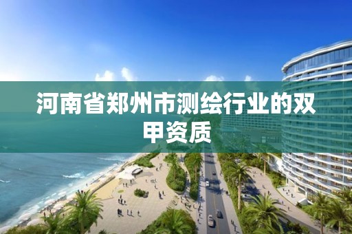 河南省鄭州市測繪行業的雙甲資質