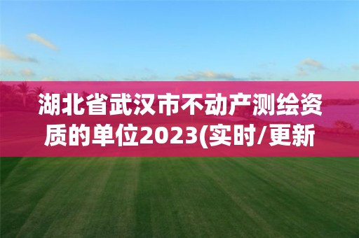 湖北省武漢市不動產測繪資質的單位2023(實時/更新中)