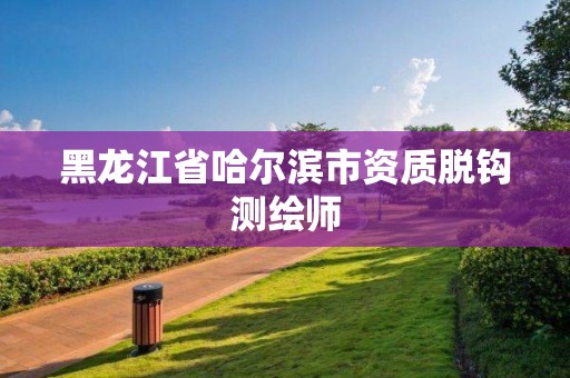 黑龍江省哈爾濱市資質(zhì)脫鉤測(cè)繪師