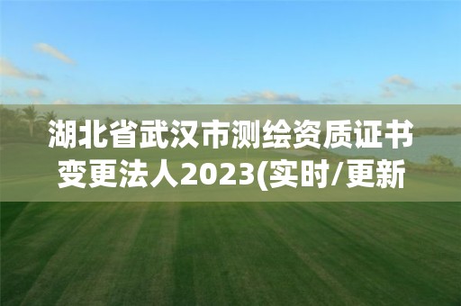 湖北省武漢市測繪資質證書變更法人2023(實時/更新中)