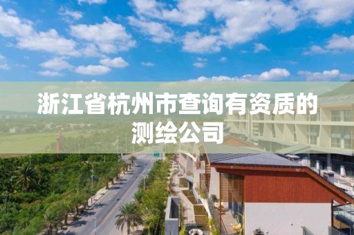 浙江省杭州市查詢有資質(zhì)的測繪公司