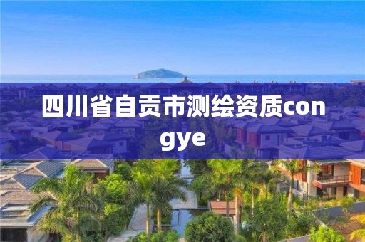 四川省自貢市測(cè)繪資質(zhì)congye