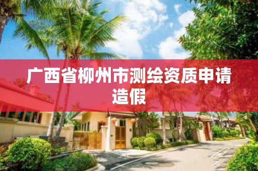 廣西省柳州市測繪資質申請造假