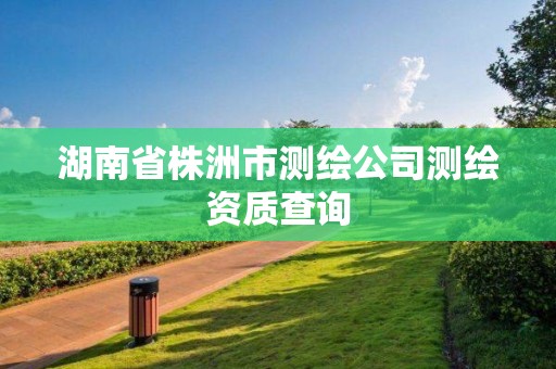 湖南省株洲市測繪公司測繪資質(zhì)查詢