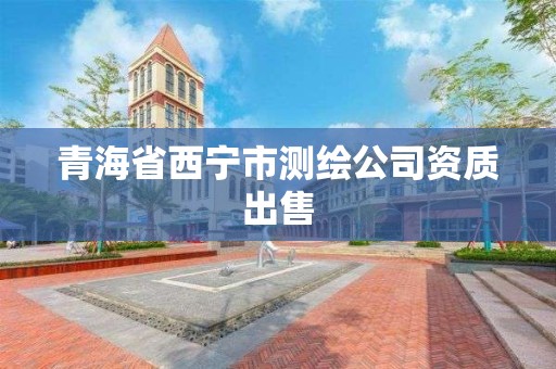 青海省西寧市測繪公司資質出售