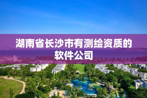 湖南省長沙市有測繪資質的軟件公司