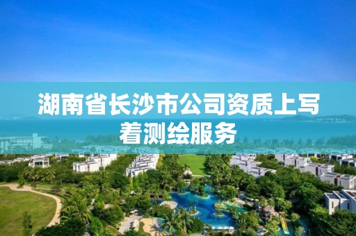 湖南省長沙市公司資質上寫著測繪服務